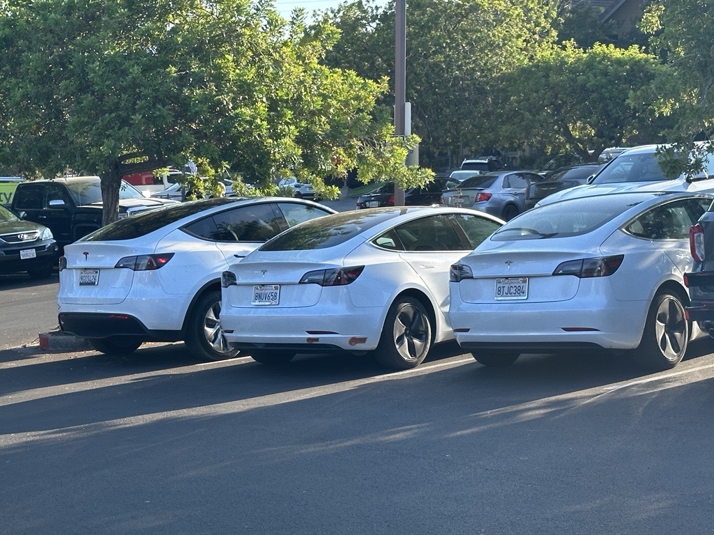 Three white self-driving cars parked next to each other.