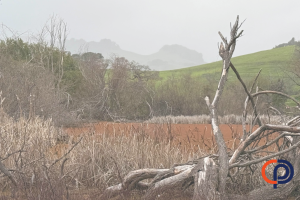 Professional Computer Concepts provides reliable IT support services in the Bay Area, ensuring businesses stay secure and efficient.