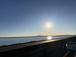 Elevate your business with computer support in Novato that goes beyond troubleshooting—our team ensures your IT drives success.