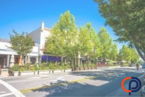 Stay ahead with our Computer Support in Mountain View, designed to prevent downtime and enhance productivity.