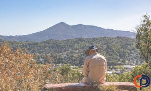 Avoid downtime and security risks with our trusted computer support in Marin County, tailored for small and mid-sized businesses.