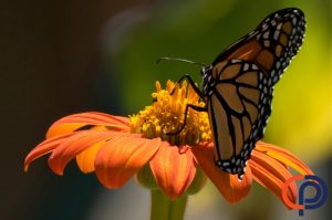 Our reliable computer support in Sonoma County ensures smooth operations, reduced downtime, and improved security.