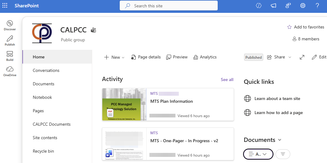 Company SharePoint site showing the site name, navigation and Documents link